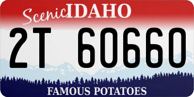 ID license plate 2T6066O