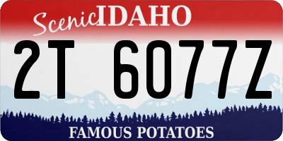 ID license plate 2T6077Z