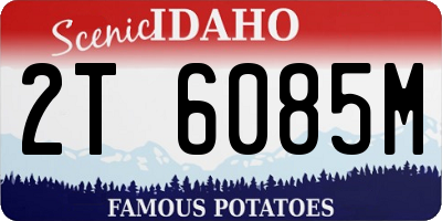 ID license plate 2T6085M