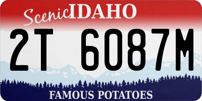 ID license plate 2T6087M