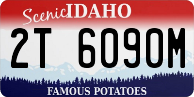 ID license plate 2T6090M