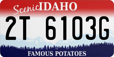ID license plate 2T6103G