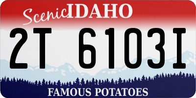 ID license plate 2T6103I