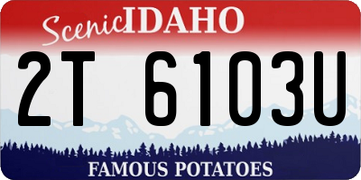 ID license plate 2T6103U