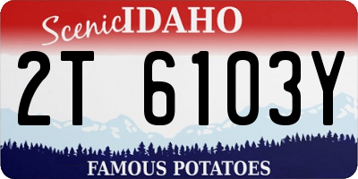 ID license plate 2T6103Y