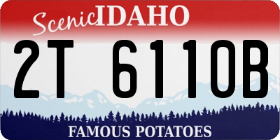 ID license plate 2T6110B