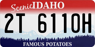 ID license plate 2T6110H
