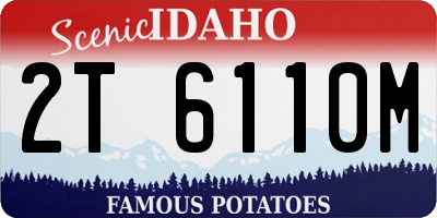 ID license plate 2T6110M