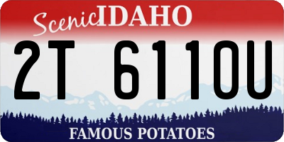 ID license plate 2T6110U