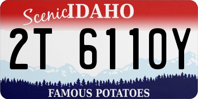 ID license plate 2T6110Y