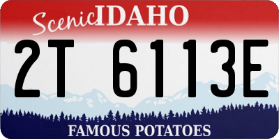 ID license plate 2T6113E