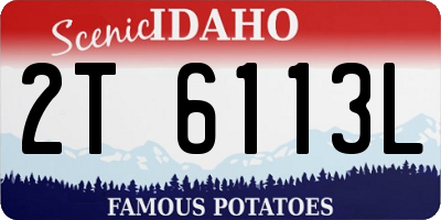 ID license plate 2T6113L