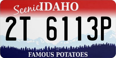 ID license plate 2T6113P