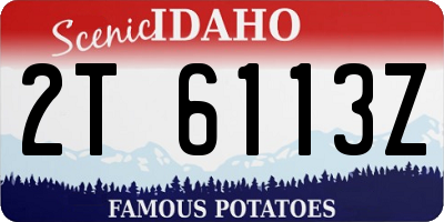 ID license plate 2T6113Z