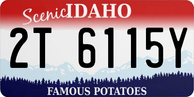 ID license plate 2T6115Y