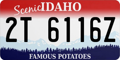 ID license plate 2T6116Z