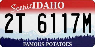 ID license plate 2T6117M