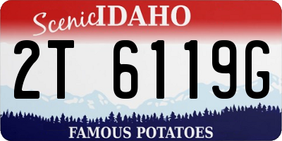 ID license plate 2T6119G