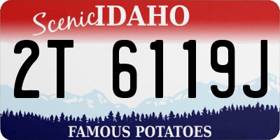 ID license plate 2T6119J