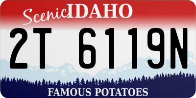 ID license plate 2T6119N