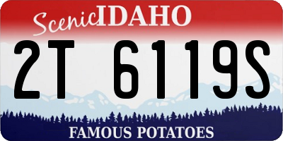 ID license plate 2T6119S