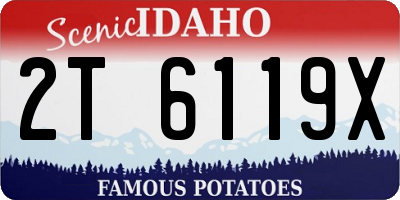 ID license plate 2T6119X