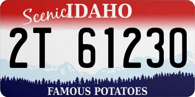 ID license plate 2T6123O