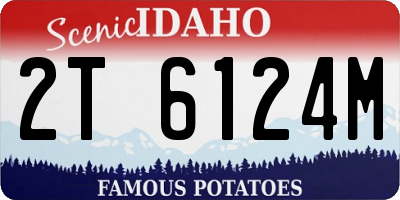 ID license plate 2T6124M