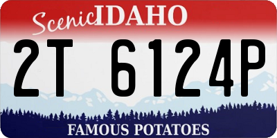 ID license plate 2T6124P