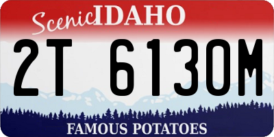 ID license plate 2T6130M