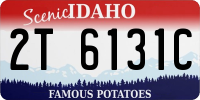 ID license plate 2T6131C