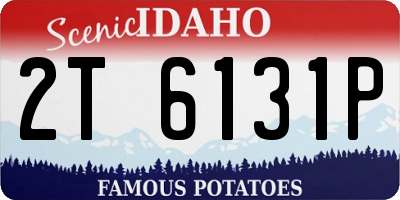 ID license plate 2T6131P