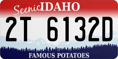ID license plate 2T6132D
