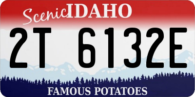 ID license plate 2T6132E
