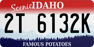 ID license plate 2T6132K