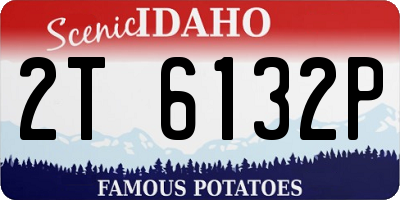 ID license plate 2T6132P