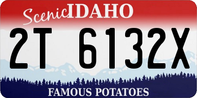 ID license plate 2T6132X