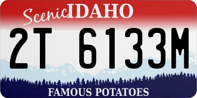 ID license plate 2T6133M