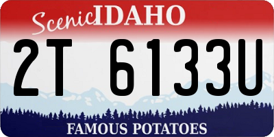 ID license plate 2T6133U