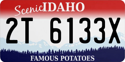 ID license plate 2T6133X