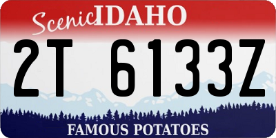 ID license plate 2T6133Z