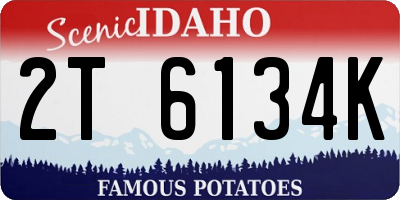 ID license plate 2T6134K