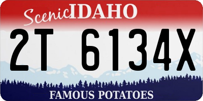 ID license plate 2T6134X