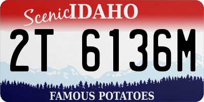 ID license plate 2T6136M