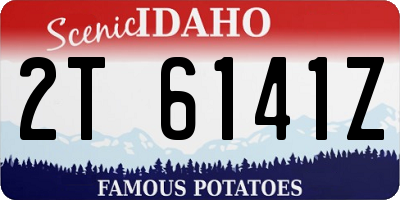 ID license plate 2T6141Z