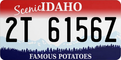 ID license plate 2T6156Z