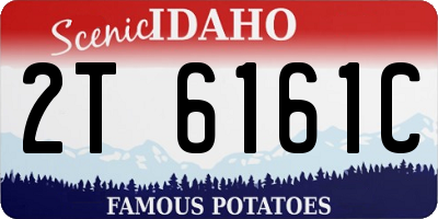 ID license plate 2T6161C