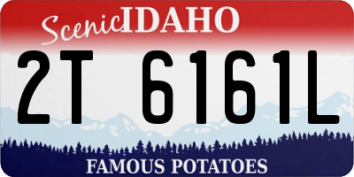 ID license plate 2T6161L