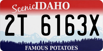 ID license plate 2T6163X