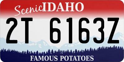 ID license plate 2T6163Z